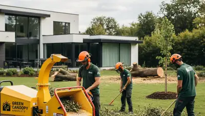 Professional landscaping and tree removal service in Columbia, MO by Chop Chop Tree experts