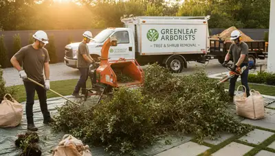 Professional shrub removal service in Columbia, MO clearing overgrown bushes and yard debris