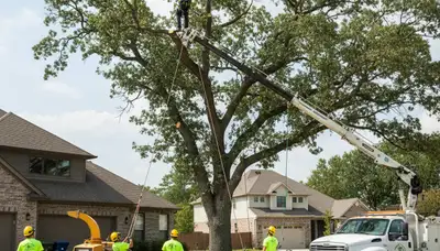 Arborist providing expert tree removal service in Columbia, MO for Chop Chop Tree